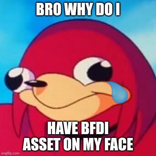 knuckle is confued | BRO WHY DO I; HAVE BFDI ASSET ON MY FACE | image tagged in teardrop knuckles | made w/ Imgflip meme maker