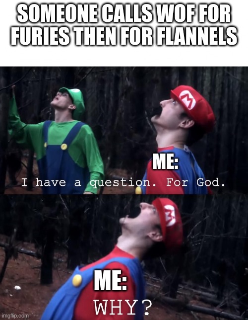 https://imgflip.com/i/8g5kki ,((mod note: btw should i start a therapy stream? seems like some people need it)) | SOMEONE CALLS WOF FOR FURIES THEN FOR FLANNELS; ME:; ME: | image tagged in i have a question for god | made w/ Imgflip meme maker