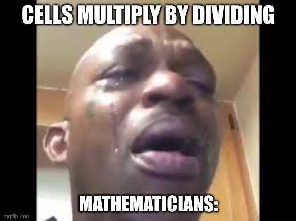 true tho | CELLS MULTIPLY BY DIVIDING; MATHEMATICIANS: | image tagged in crying dude | made w/ Imgflip meme maker