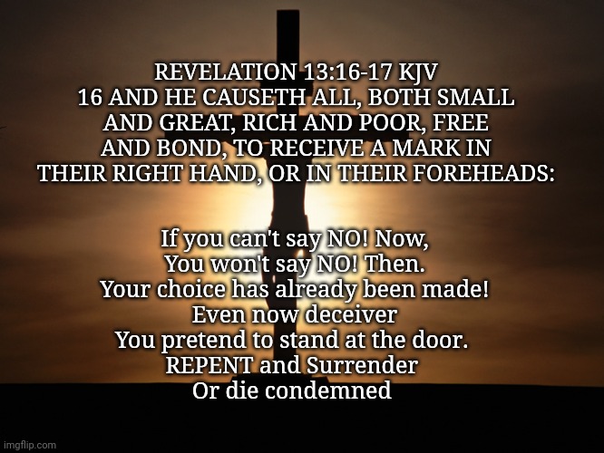 What say you? | REVELATION 13:16-17 KJV
16 AND HE CAUSETH ALL, BOTH SMALL AND GREAT, RICH AND POOR, FREE AND BOND, TO RECEIVE A MARK IN THEIR RIGHT HAND, OR IN THEIR FOREHEADS:; If you can't say NO! Now,
You won't say NO! Then.
Your choice has already been made!
Even now deceiver
You pretend to stand at the door. 
REPENT and Surrender 
Or die condemned | image tagged in christian | made w/ Imgflip meme maker