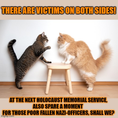 This #lolcat wonders if we always should pity the victims on both sides | THERE ARE VICTIMS ON BOTH SIDES! AT THE NEXT HOLOCAUST MEMORIAL SERVICE,
ALSO SPARE A MOMENT 
FOR THOSE POOR FALLEN NAZI-OFFICERS, SHALL WE? | image tagged in victims,holocaust,nazis,blame,lolcat | made w/ Imgflip meme maker