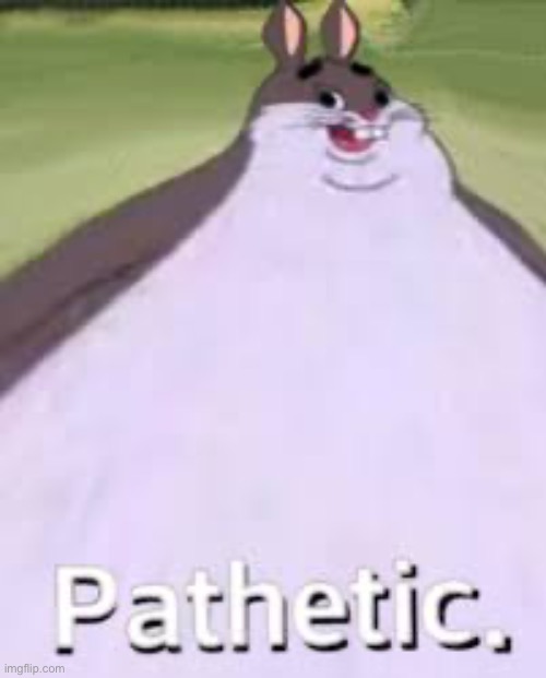 Pathetic | image tagged in pathetic,big chungus | made w/ Imgflip meme maker