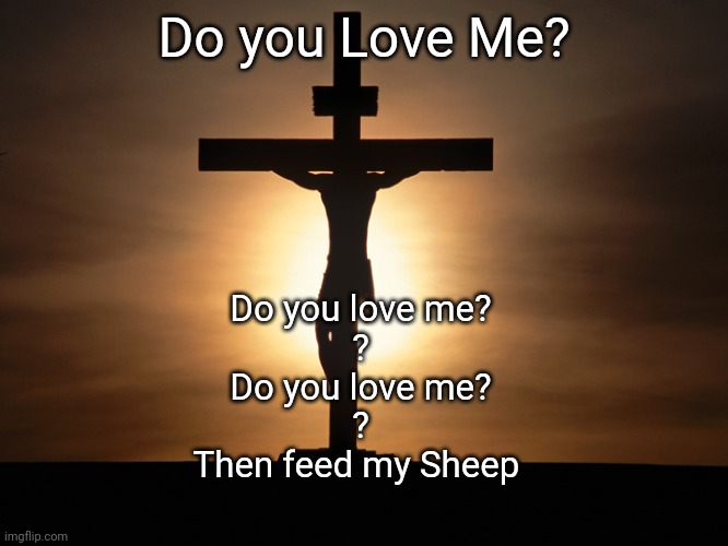 DO YOU LIVE ME? | Do you Love Me? Do you love me?
?
Do you love me?
?
Then feed my Sheep | image tagged in christian | made w/ Imgflip meme maker