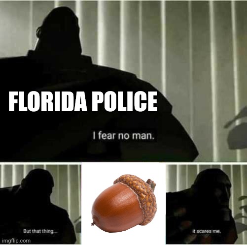 Police officers can be Florida men too | FLORIDA POLICE | image tagged in i fear no man,police,stupidity,florida man | made w/ Imgflip meme maker