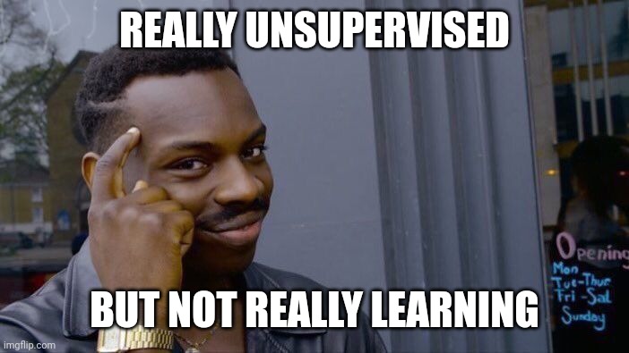 Roll Safe Think About It Meme | REALLY UNSUPERVISED BUT NOT REALLY LEARNING | image tagged in memes,roll safe think about it | made w/ Imgflip meme maker