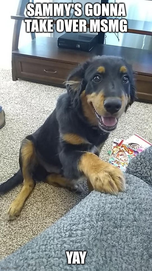 SAMMY'S GONNA TAKE OVER MSMG; YAY | made w/ Imgflip meme maker