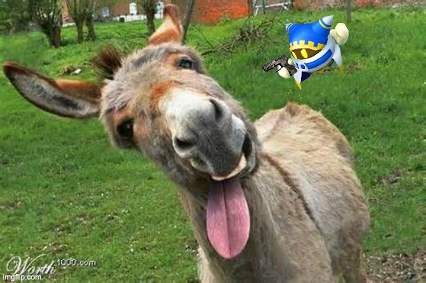 Laughing Donkey | image tagged in laughing donkey | made w/ Imgflip meme maker