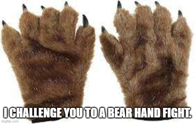meme by Brad I'll fight you bear handed | I CHALLENGE YOU TO A BEAR HAND FIGHT. | image tagged in sports,boxing,funny meme,humor,bear,funny | made w/ Imgflip meme maker