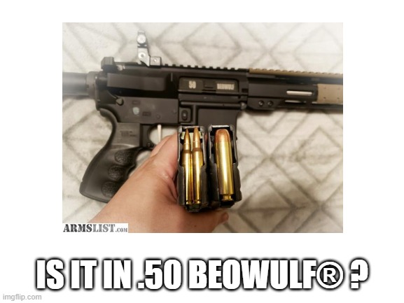 Blank White Template | IS IT IN .50 BEOWULF® ? | image tagged in blank white template | made w/ Imgflip meme maker