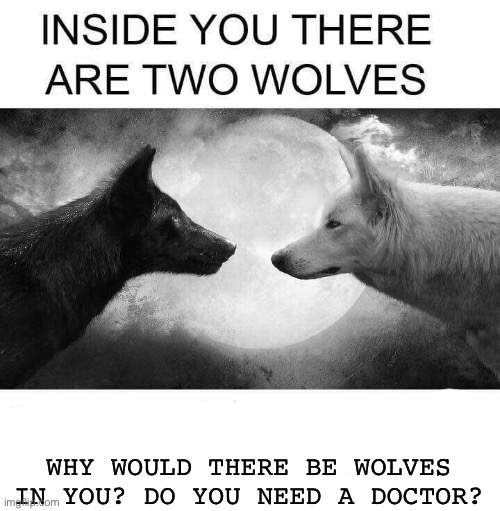 Inside you there are two wolves | WHY WOULD THERE BE WOLVES IN YOU? DO YOU NEED A DOCTOR? | image tagged in inside you there are two wolves | made w/ Imgflip meme maker