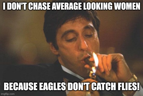 Scarface Serious | I DON'T CHASE AVERAGE LOOKING WOMEN; BECAUSE EAGLES DON'T CATCH FLIES! | image tagged in scarface serious | made w/ Imgflip meme maker