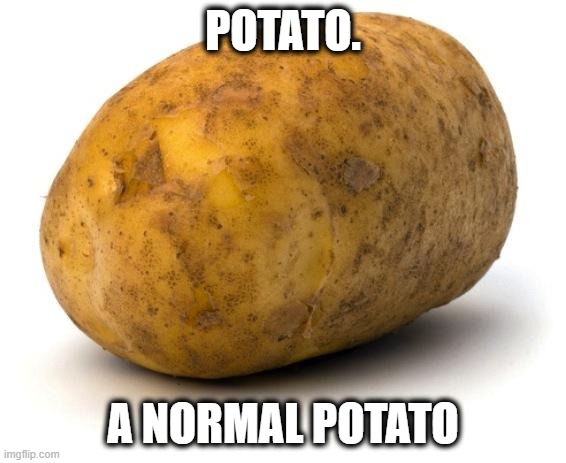 I am a potato | POTATO. A NORMAL POTATO | image tagged in i am a potato | made w/ Imgflip meme maker