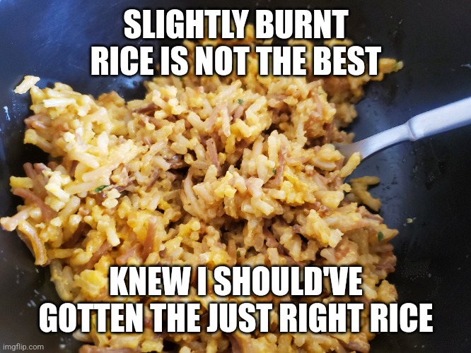 SLIGHTLY BURNT RICE IS NOT THE BEST; KNEW I SHOULD'VE GOTTEN THE JUST RIGHT RICE | image tagged in rice | made w/ Imgflip meme maker