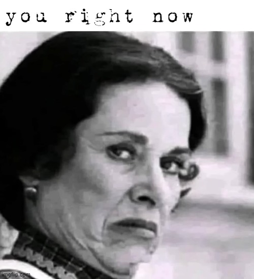 You Right Now Disgust | image tagged in you,right,now,disgust | made w/ Imgflip meme maker