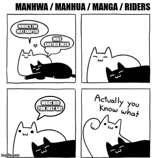 Where the next chapter | MANHWA / MANHUA / MANGA / RIDERS; WHAT DID YOU JUST SAY | image tagged in funny | made w/ Imgflip meme maker
