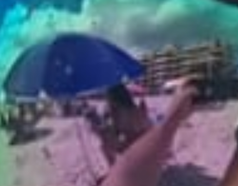 Lente Blank Meme Template