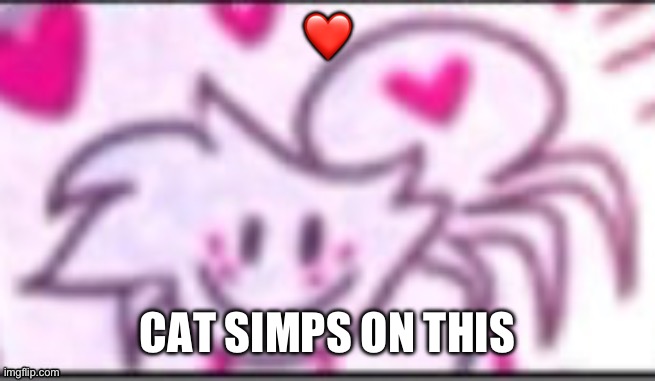 Spooder | ❤️; CAT SIMPS ON THIS | image tagged in spooder | made w/ Imgflip meme maker