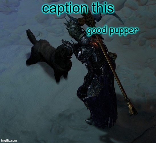 caption this | image tagged in good pupper | made w/ Imgflip meme maker