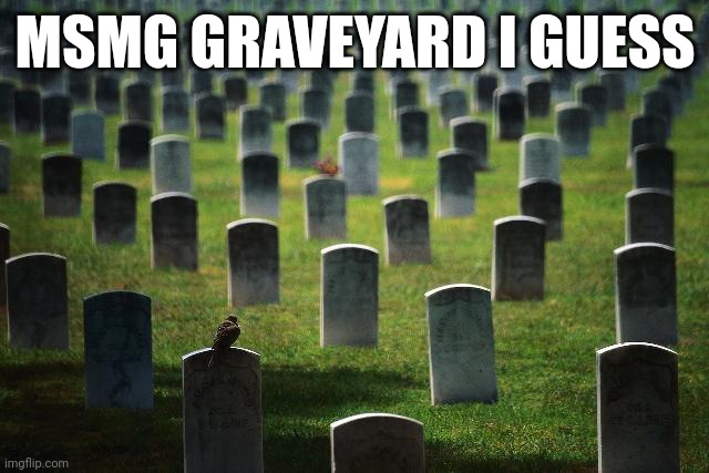 graveyard cemetary | MSMG GRAVEYARD I GUESS | image tagged in graveyard cemetary | made w/ Imgflip meme maker