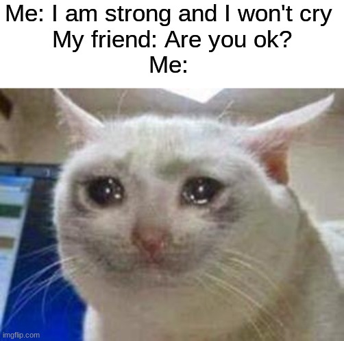 Sad cat | Me: I am strong and I won't cry
 My friend: Are you ok?
Me: | image tagged in sad cat,memes,funny,sad,cats | made w/ Imgflip meme maker