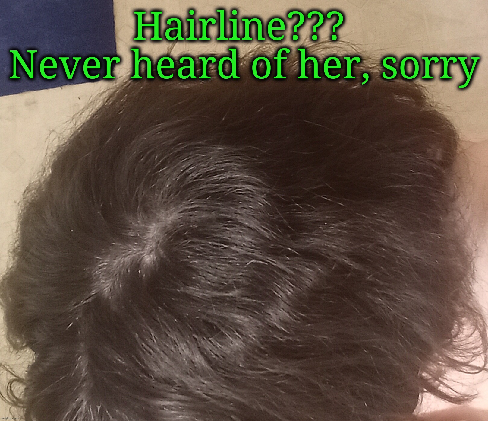 Hairline??? 
Never heard of her, sorry | made w/ Imgflip meme maker