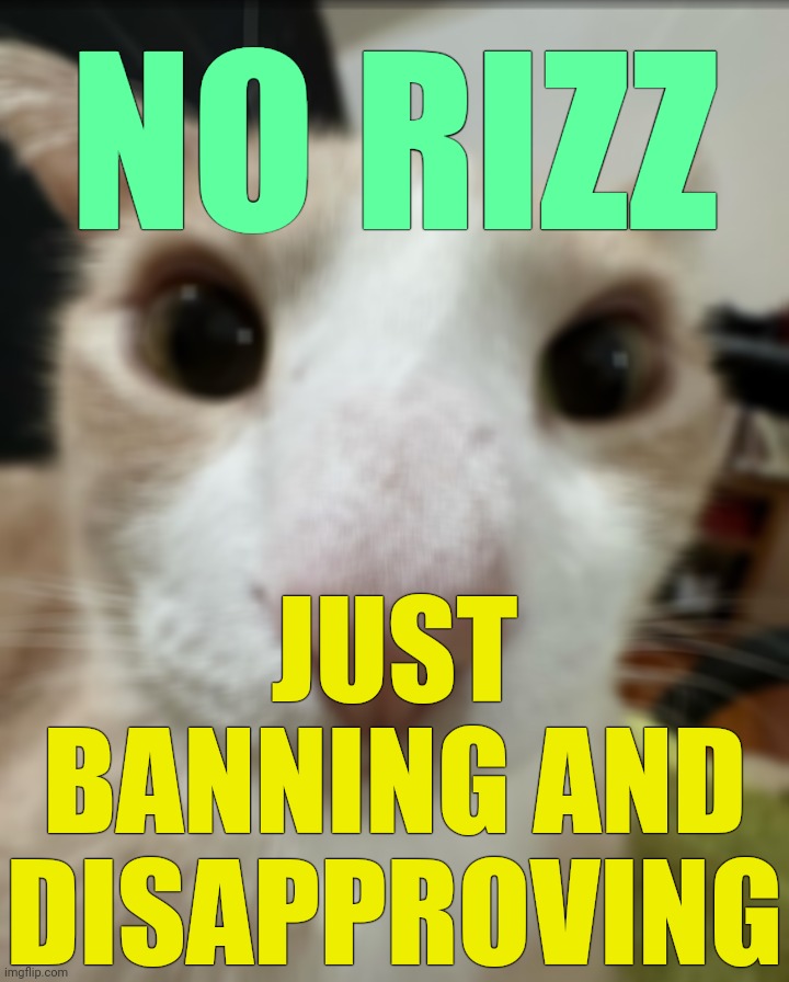 . | NO RIZZ; JUST BANNING AND DISAPPROVING | made w/ Imgflip meme maker
