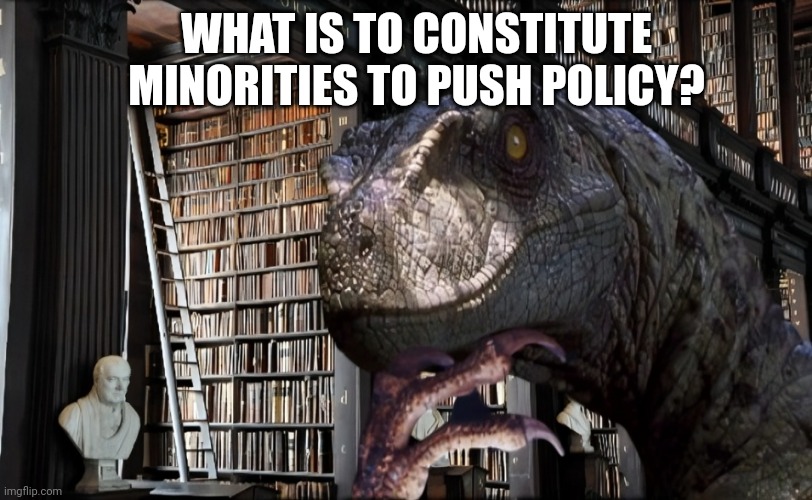 WHAT IS TO CONSTITUTE MINORITIES TO PUSH POLICY? | made w/ Imgflip meme maker