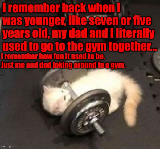 I remember back when I was younger, like seven or five years old, my dad and I literally used to go to the gym together... I remember how fun it used to be. 
Just me and dad joking around in a gym. | made w/ Imgflip meme maker