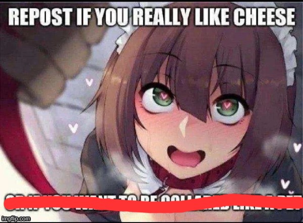 im french.. what can i say? cheese is my life | made w/ Imgflip meme maker