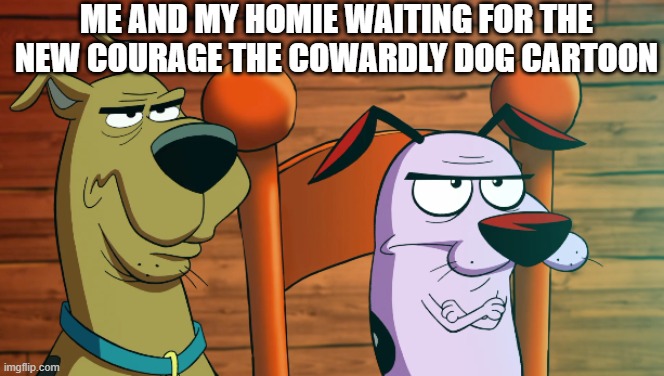 tell me if imma wrong for this one but is this true? | ME AND MY HOMIE WAITING FOR THE NEW COURAGE THE COWARDLY DOG CARTOON | image tagged in scooby doo courage face,courage the cowardly dog,cartoon network,cartoons,courage,waiting | made w/ Imgflip meme maker