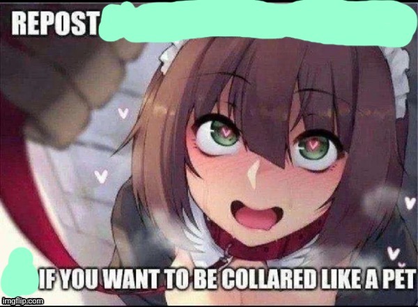 No this is not an Invite to the people I know are gonna respond | made w/ Imgflip meme maker