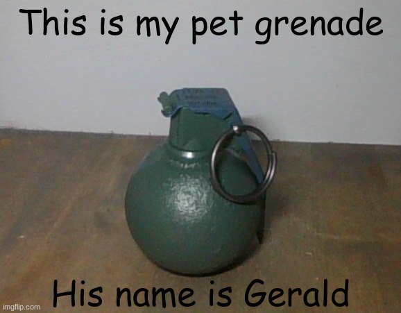 Gerald | This is my pet grenade; His name is Gerald | image tagged in my pet grenade | made w/ Imgflip meme maker