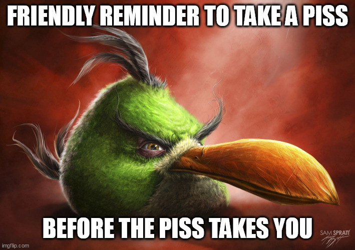 water | FRIENDLY REMINDER TO TAKE A PISS; BEFORE THE PISS TAKES YOU | image tagged in realistic angry bird | made w/ Imgflip meme maker