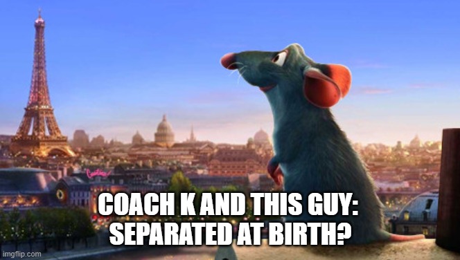 coach k | COACH K AND THIS GUY: 
SEPARATED AT BIRTH? | image tagged in ratatouille | made w/ Imgflip meme maker