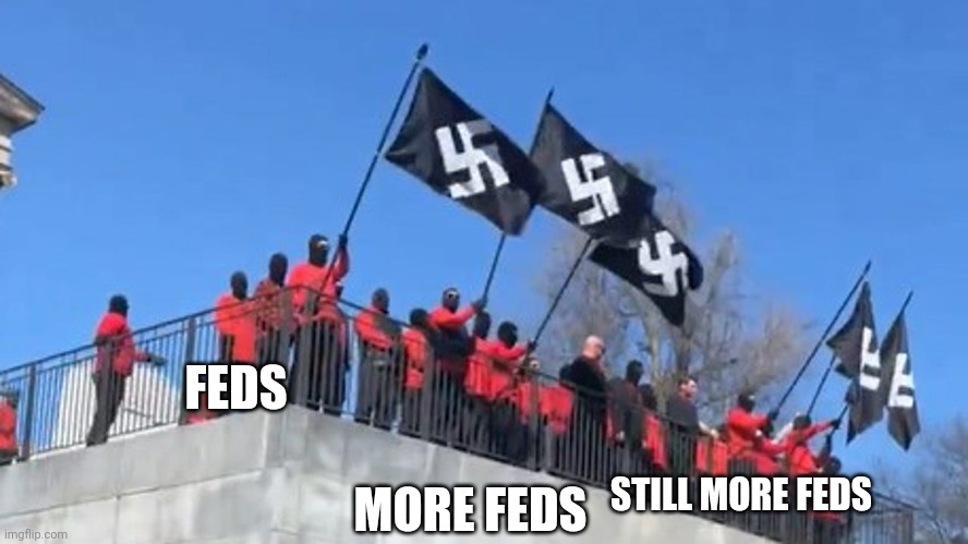 Fedzi Rally | MORE FEDS; FEDS; STILL MORE FEDS | image tagged in nazi,fbi,false flag,protest | made w/ Imgflip meme maker