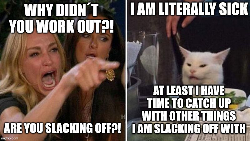 I AM LITERALLY SICK; WHY DIDN´T YOU WORK OUT?! AT LEAST I HAVE TIME TO CATCH UP WITH OTHER THINGS I AM SLACKING OFF WITH; ARE YOU SLACKING OFF?! | made w/ Imgflip meme maker