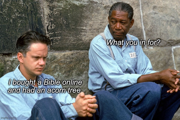 Somebody is watching you | What you in for? I bought a Bible online and had an acorn tree | image tagged in shawshank,politics lol,memes,big brother | made w/ Imgflip meme maker