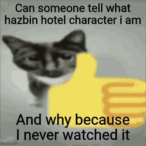 cat thumbs up | Can someone tell what hazbin hotel character i am; And why because I never watched it | image tagged in cat thumbs up | made w/ Imgflip meme maker