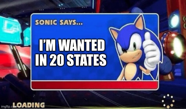 Wanted in 20 states | I’M WANTED IN 20 STATES | image tagged in sonic says | made w/ Imgflip meme maker