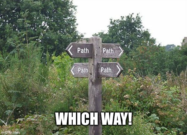 which way to go | WHICH WAY! | image tagged in which way to go | made w/ Imgflip meme maker