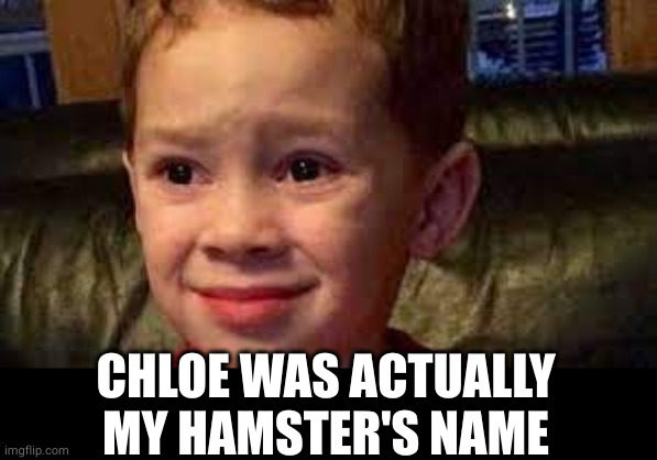 embarrassed child | CHLOE WAS ACTUALLY MY HAMSTER'S NAME | image tagged in embarrassed child | made w/ Imgflip meme maker