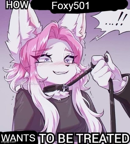 how girls that use :3 want to be treated blank | Foxy501; WANTS | image tagged in how girls that use 3 want to be treated blank | made w/ Imgflip meme maker