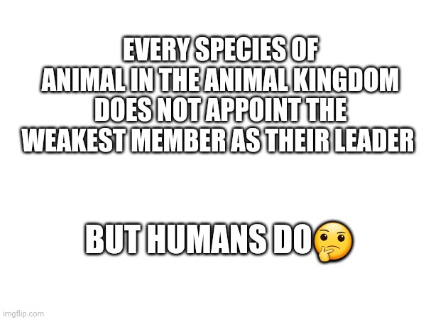 EVERY SPECIES OF ANIMAL IN THE ANIMAL KINGDOM DOES NOT APPOINT THE WEAKEST MEMBER AS THEIR LEADER; BUT HUMANS DO🤔 | made w/ Imgflip meme maker