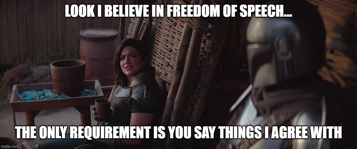 The Mandalorian | LOOK I BELIEVE IN FREEDOM OF SPEECH... THE ONLY REQUIREMENT IS YOU SAY THINGS I AGREE WITH | image tagged in the mandalorian | made w/ Imgflip meme maker