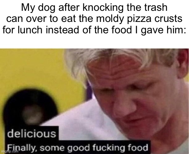 Dogs after discovering people food | My dog after knocking the trash can over to eat the moldy pizza crusts for lunch instead of the food I gave him: | image tagged in gordon ramsay some good food,dogs,pizza,stop reading the tags | made w/ Imgflip meme maker