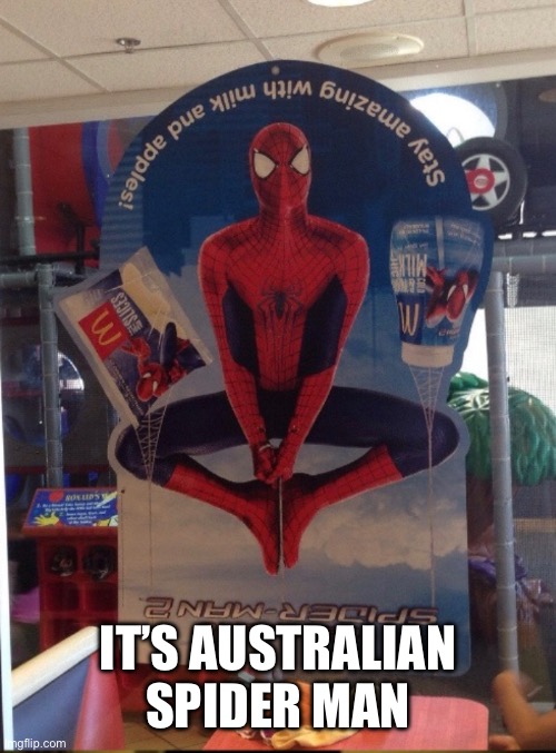Yes | IT’S AUSTRALIAN SPIDER MAN | image tagged in funny | made w/ Imgflip meme maker