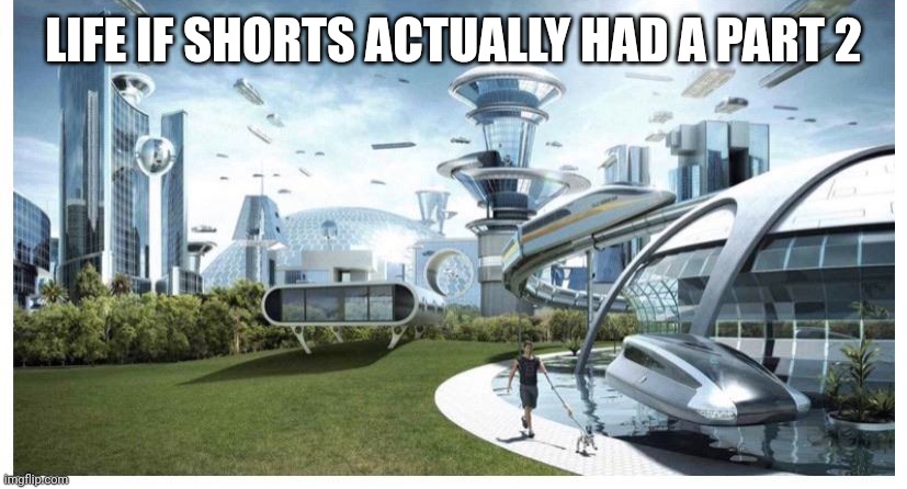 We all know this one | LIFE IF SHORTS ACTUALLY HAD A PART 2 | image tagged in true | made w/ Imgflip meme maker