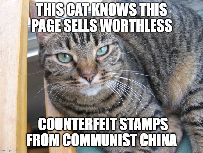 Counterfeit Stamps | THIS CAT KNOWS THIS PAGE SELLS WORTHLESS; COUNTERFEIT STAMPS FROM COMMUNIST CHINA | image tagged in scam | made w/ Imgflip meme maker