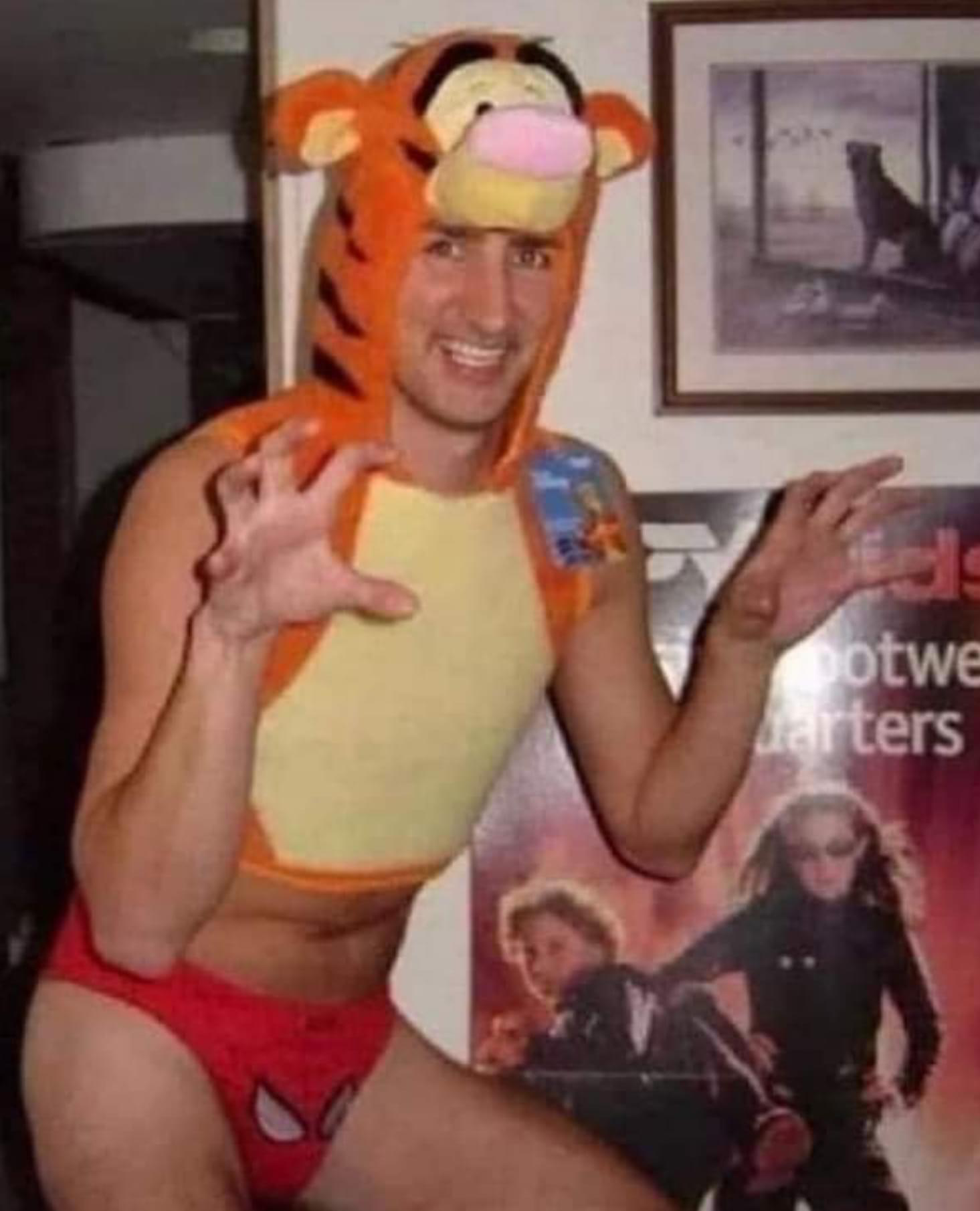 High Quality Trudeau Tiger Costume Blank Meme Template