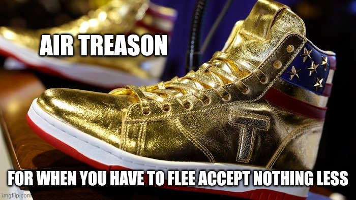 AIR TREASON; FOR WHEN YOU HAVE TO FLEE ACCEPT NOTHING LESS | made w/ Imgflip meme maker
